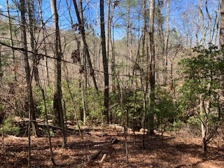 LT1032 Eagle Ct, Ellijay, GA 30540