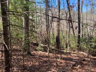 LT1032 Eagle Ct, Ellijay, GA 30540