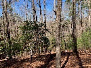 LT1032 Eagle Ct, Ellijay, GA 30540