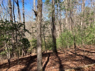 LT1032 Eagle Ct, Ellijay, GA 30540