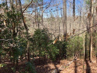 LT1032 Eagle Ct, Ellijay, GA 30540