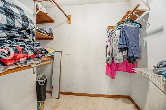542 Sharp Top Cir, Blairsville, GA 30512 - view of walk in closet