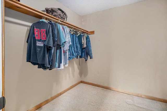 542 Sharp Top Cir, Blairsville, GA 30512 - view of spacious closet