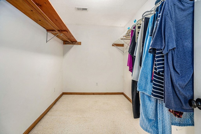 542 Sharp Top Cir, Blairsville, GA 30512 - spacious closet with carpet flooring and visible vents
