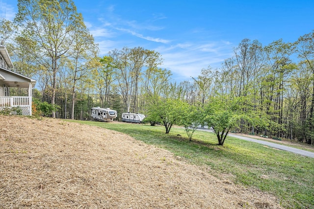542 Sharp Top Cir, Blairsville, GA 30512 - view of yard