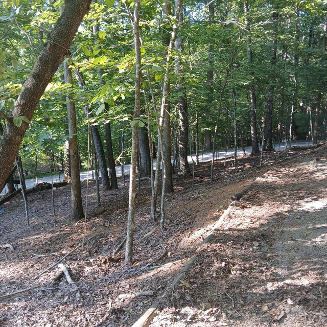 107 7th St, Ellijay GA, 30540 land for sale