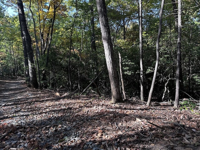 TR3 Turniptown Rd, Ellijay, GA 30536