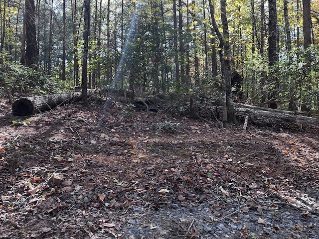 TR3 Turniptown Rd, Ellijay, GA 30536