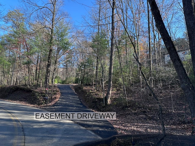 TR3 Turniptown Rd, Ellijay, GA 30536