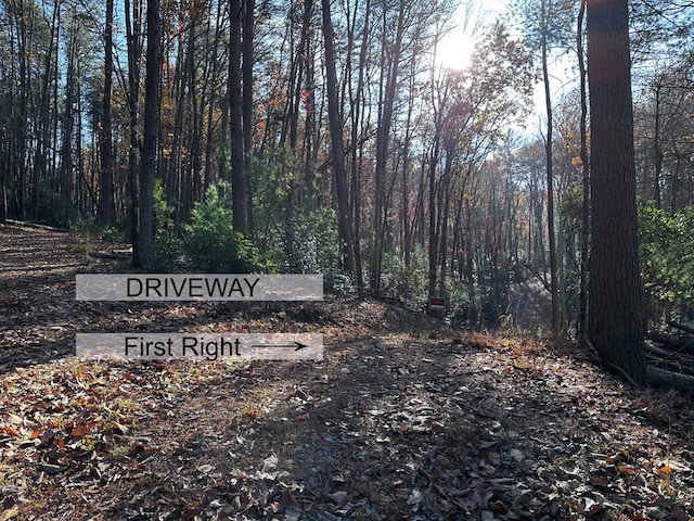 TR3 Turniptown Rd, Ellijay, GA 30536