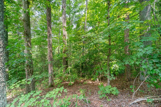 LOT76 Old Miller Rock Rd, Ellijay, GA 30540