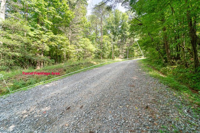 LOT76 Old Miller Rock Rd, Ellijay, GA 30540