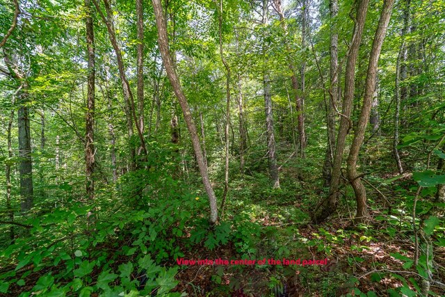 LOT76 Old Miller Rock Rd, Ellijay, GA 30540