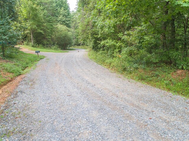 LOT76 Old Miller Rock Rd, Ellijay, GA 30540