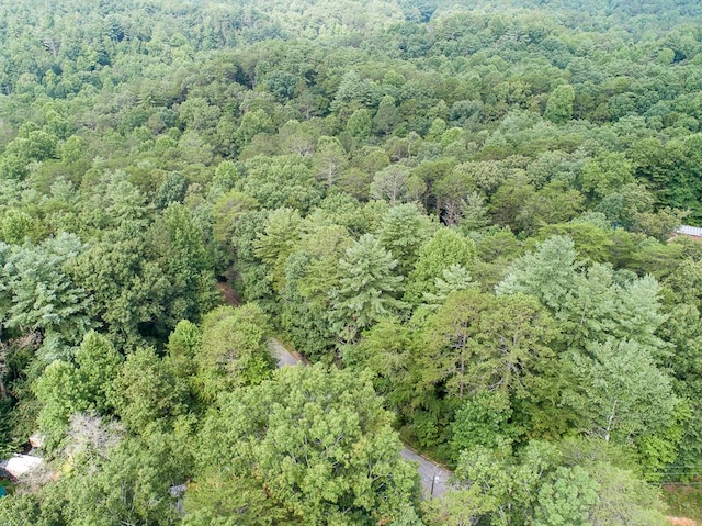 LOT76 Old Miller Rock Rd, Ellijay, GA 30540