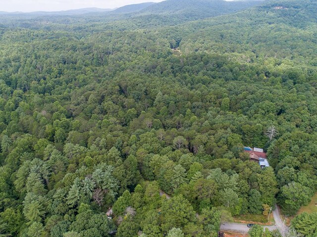 LOT76 Old Miller Rock Rd, Ellijay, GA 30540