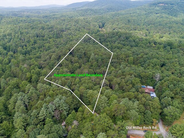 LOT76 Old Miller Rock Rd, Ellijay, GA 30540