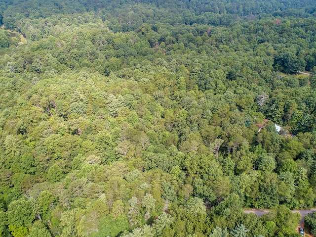 LOT76 Old Miller Rock Rd, Ellijay, GA 30540