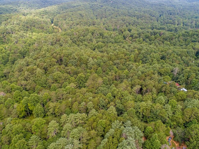 LOT76 Old Miller Rock Rd, Ellijay, GA 30540