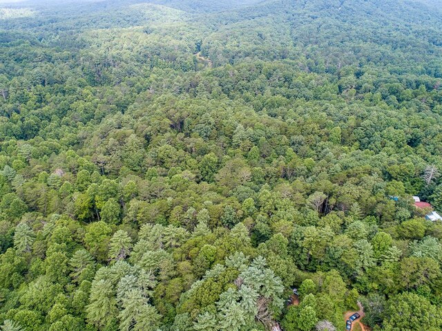 LOT76 Old Miller Rock Rd, Ellijay, GA 30540