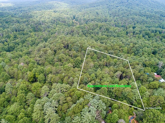 LOT76 Old Miller Rock Rd, Ellijay, GA 30540