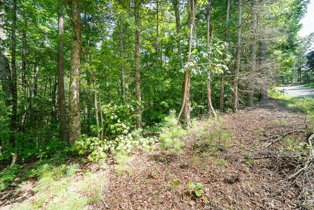LOT76 Old Miller Rock Rd, Ellijay, GA 30540