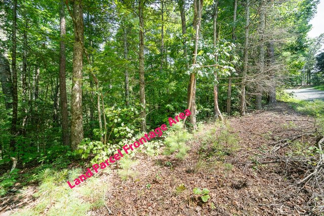 LOT76 Old Miller Rock Rd, Ellijay, GA 30540