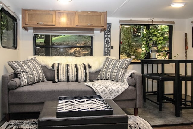 living room with hardwood / wood-style flooring