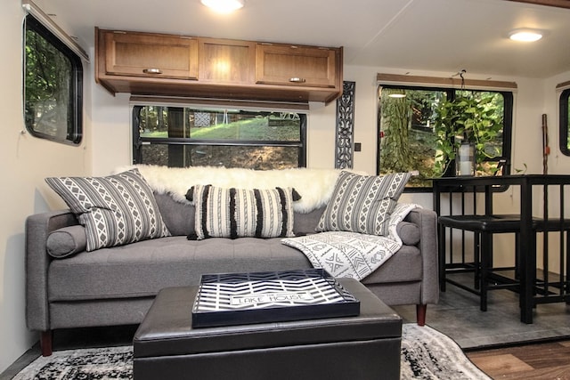 living room with dark hardwood / wood-style floors