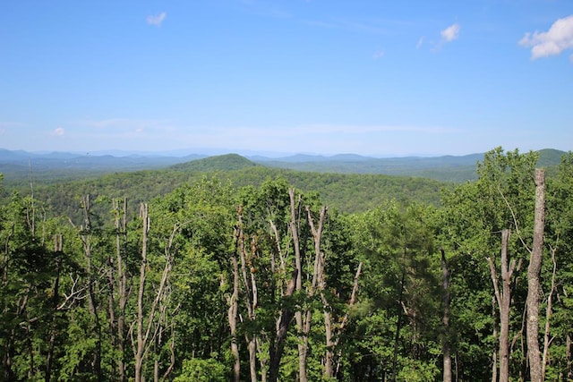 LOT1 S Aska Rd, Blue Ridge, GA 30515 - mountain view with a heavily wooded area