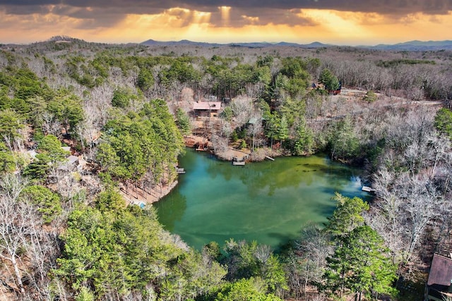 aerial view at dusk featuring a forest view and a water and mountain view