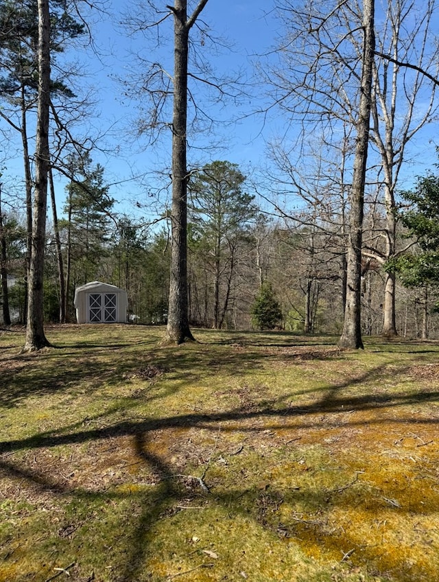 view of yard with an outbuilding and a storage unit