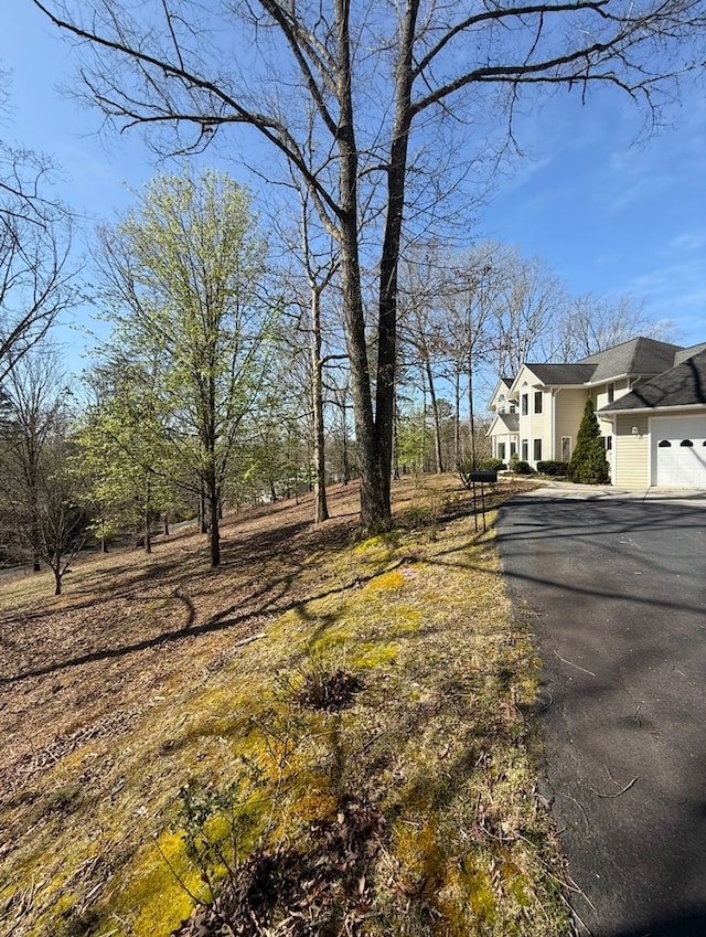 view of street with driveway