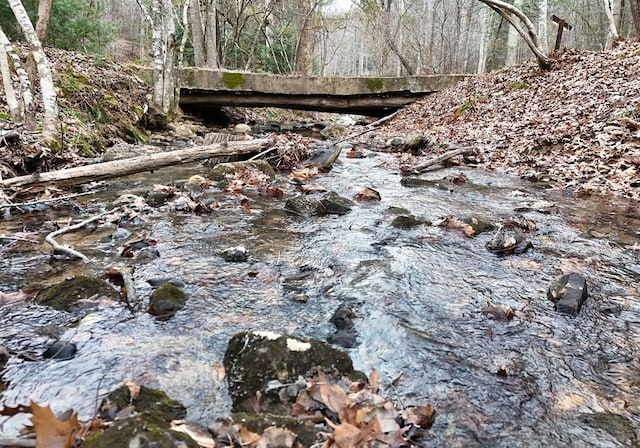view of local wilderness