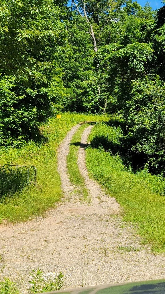LOT10 Hickory Rdg, Hayesville, NC 28904
