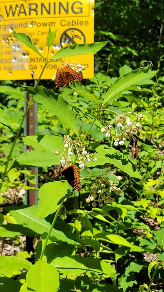 LOT10 Hickory Rdg, Hayesville, NC 28904