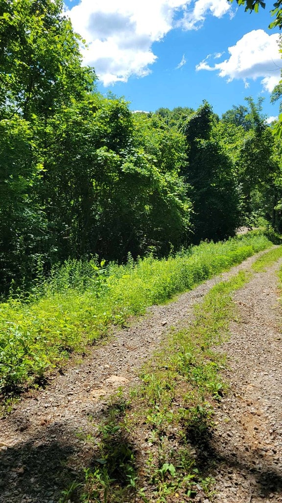 LOT10 Hickory Rdg, Hayesville, NC 28904