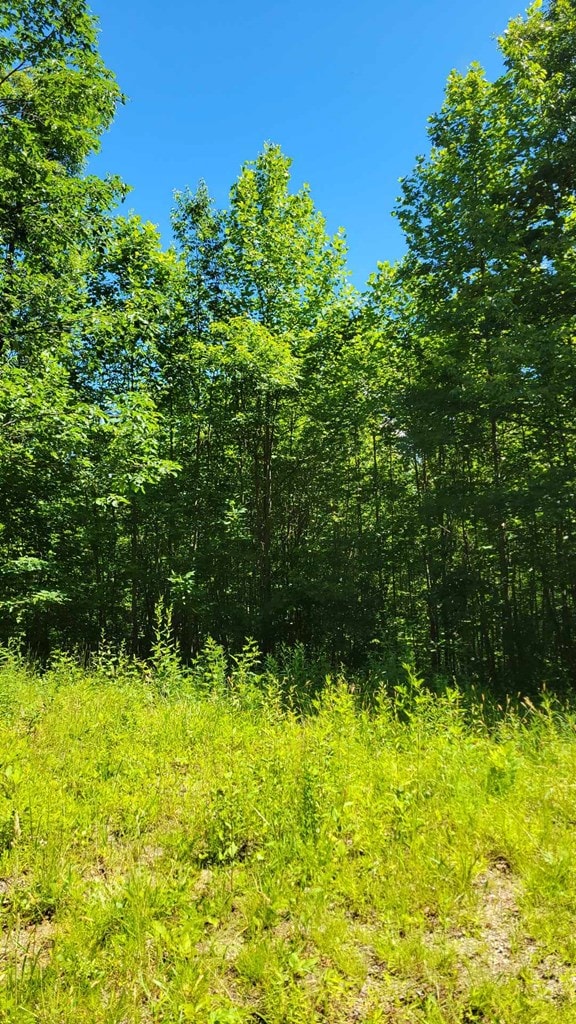 LOT10 Hickory Rdg, Hayesville, NC 28904