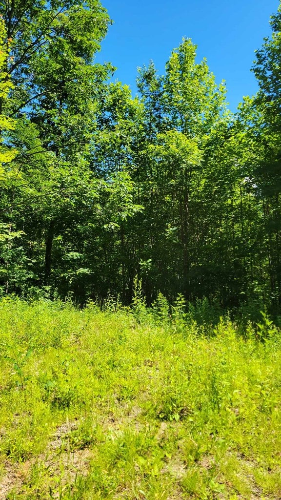 LOT10 Hickory Rdg, Hayesville, NC 28904