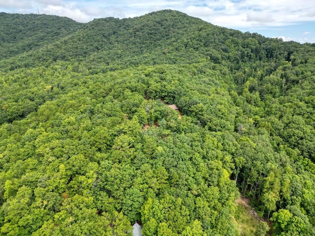 property view of mountains