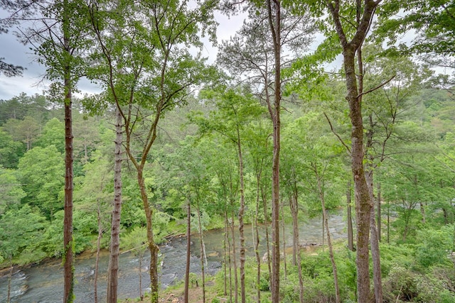 property view of water with a wooded view