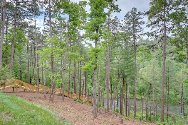 view of yard featuring a wooded view