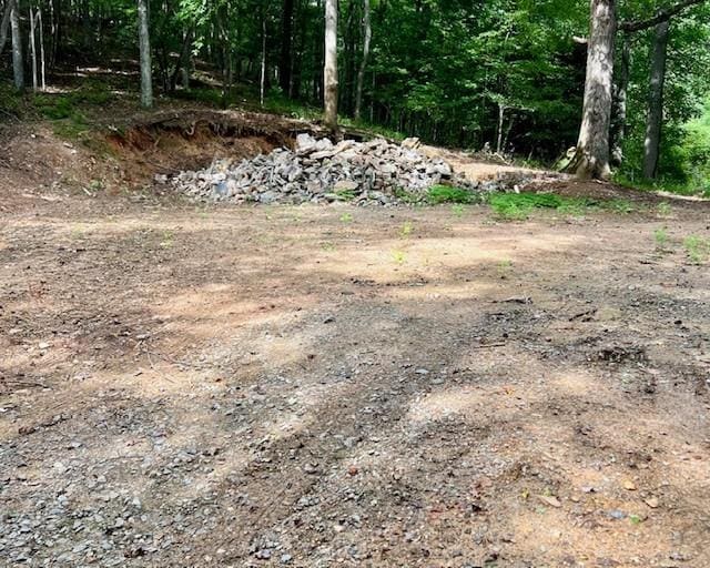 300 Kaleb Trl, Mineral Bluff GA, 30560 land for sale