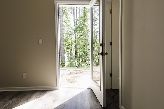 65 Hood Park Ct, Jasper, GA 30143 - doorway to outside featuring wood finished floors and baseboards