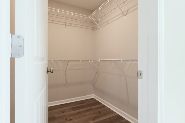 65 Hood Park Ct, Jasper, GA 30143 - spacious closet with dark wood-style floors