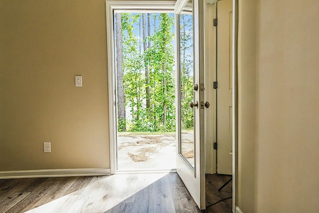 65 Hood Park Ct, Jasper, GA 30143 - entryway featuring wood finished floors and baseboards