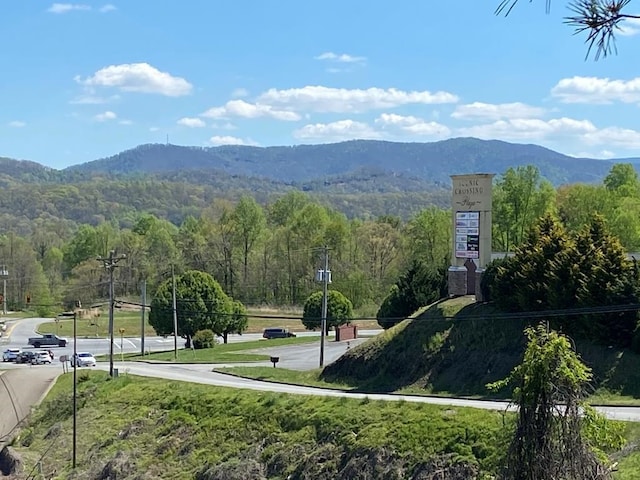 Listing photo 2 for Lot4 Blue Ridge Overlook, Blue Ridge GA 30513