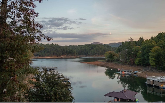 water view with a boat dock