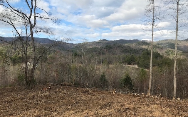 Listing photo 2 for B Sweetwater Bend Dr, Hayesville NC 28904