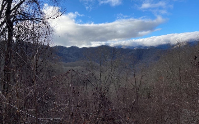 NO Georgianna Ln, Bryson City NC, 28713 land for sale